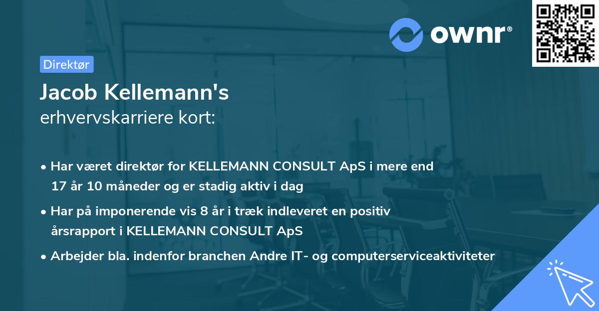 Jacob Kellemann's erhvervskarriere kort