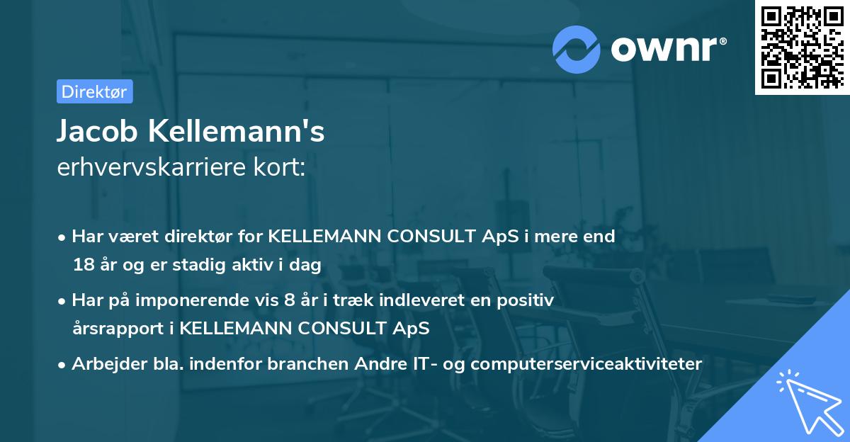 Jacob Kellemann's erhvervskarriere kort