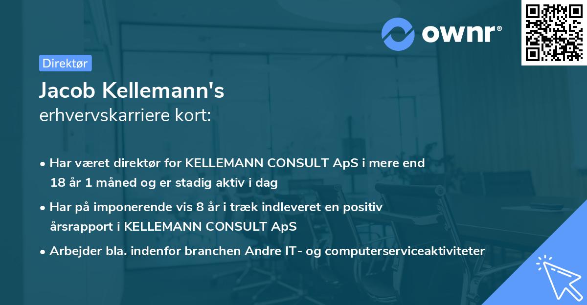Jacob Kellemann's erhvervskarriere kort