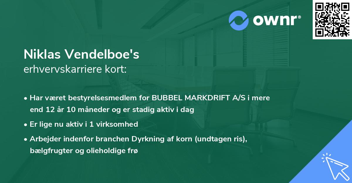 Niklas Vendelboe's erhvervskarriere kort
