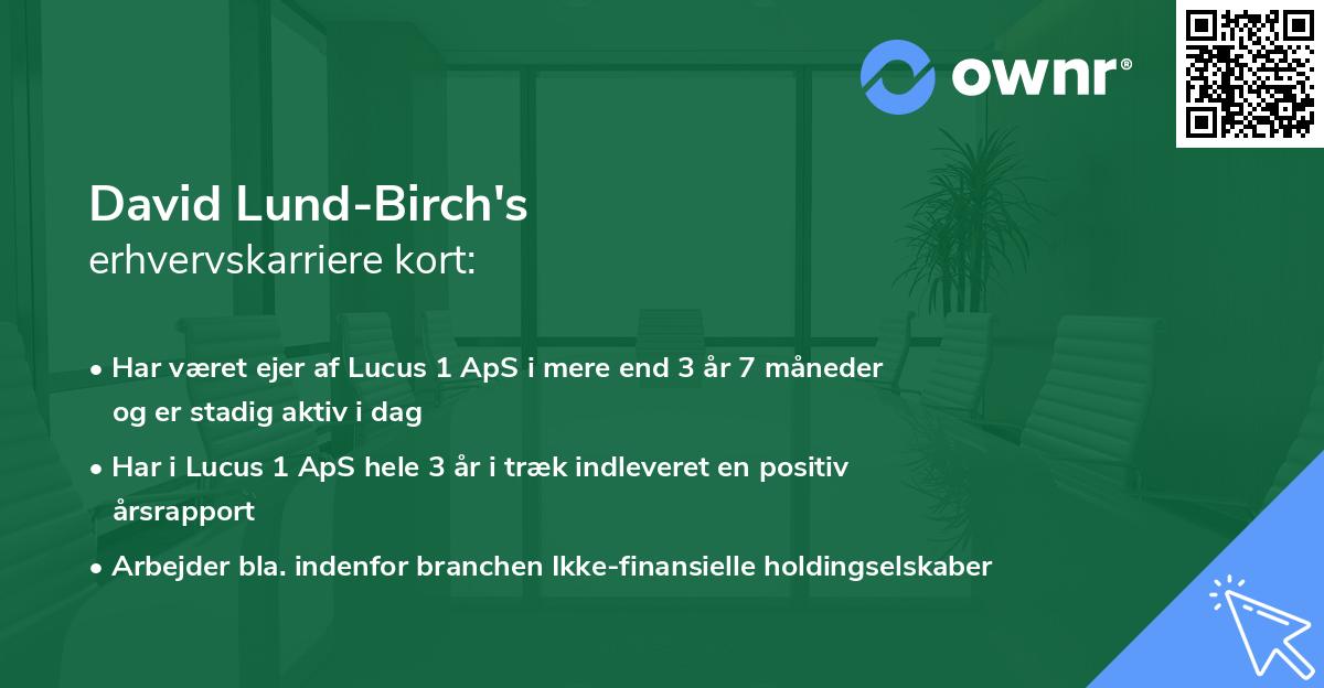 David Lund-Birch's erhvervskarriere kort