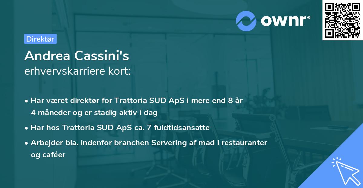 Andrea Cassini's erhvervskarriere kort