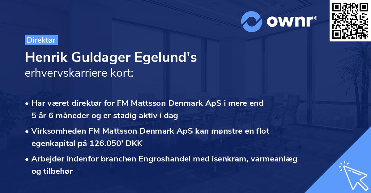 Henrik Guldager Egelund's erhvervskarriere kort