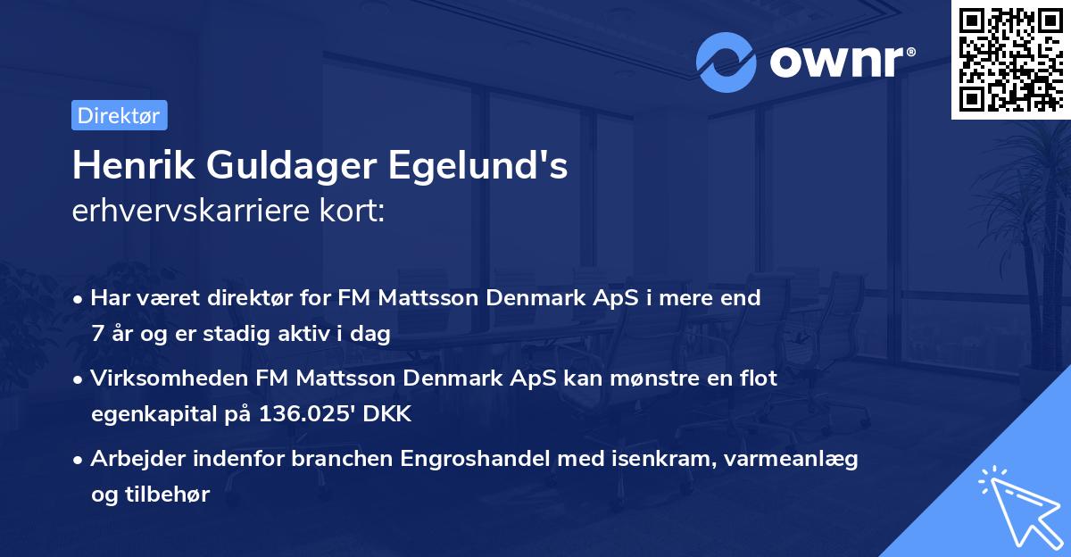 Henrik Guldager Egelund's erhvervskarriere kort