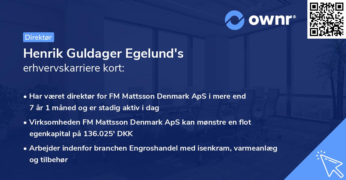 Henrik Guldager Egelund's erhvervskarriere kort