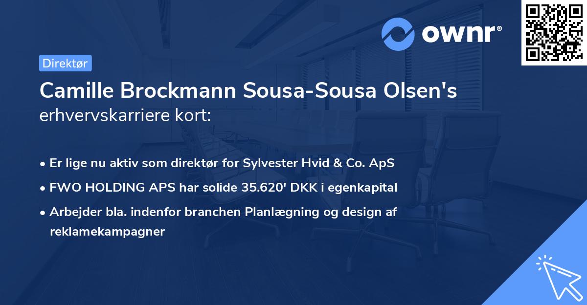 Camille Brockmann Sousa-Sousa Olsen's erhvervskarriere kort