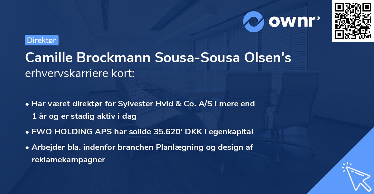 Camille Brockmann Sousa-Sousa Olsen's erhvervskarriere kort