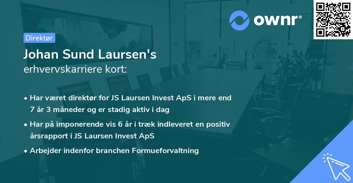 Johan Sund Laursen's erhvervskarriere kort