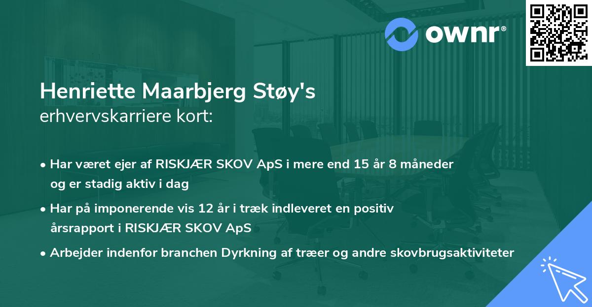 Henriette Maarbjerg Støy's erhvervskarriere kort