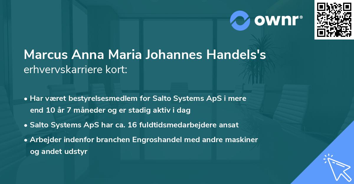 Marcus Anna Maria Johannes Handels's erhvervskarriere kort