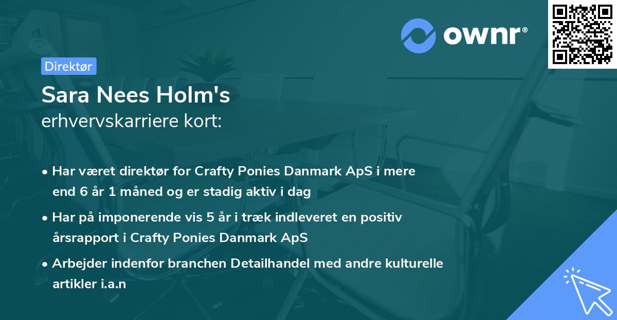 Sara Nees Holm's erhvervskarriere kort