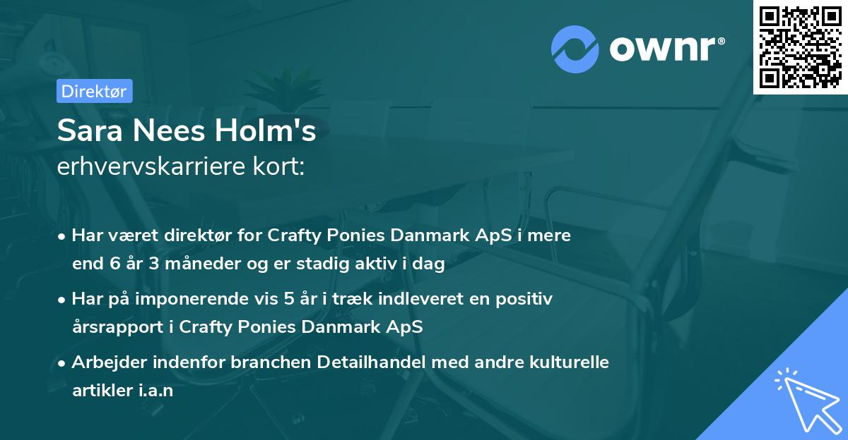 Sara Nees Holm's erhvervskarriere kort