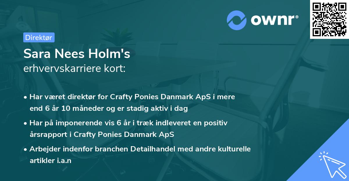 Sara Nees Holm's erhvervskarriere kort