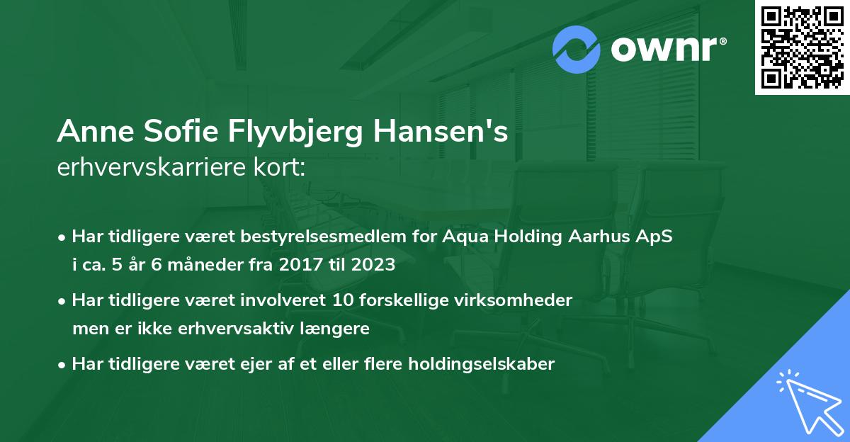 Anne Sofie Flyvbjerg Hansen's erhvervskarriere kort