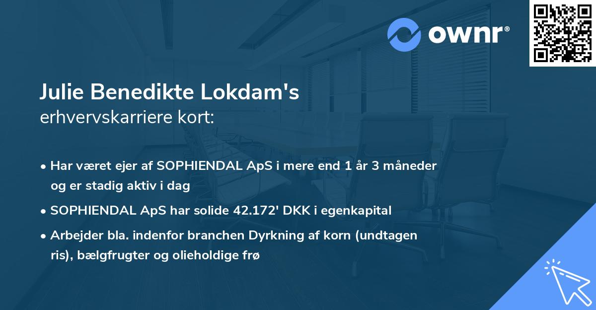 Julie Benedikte Lokdam's erhvervskarriere kort