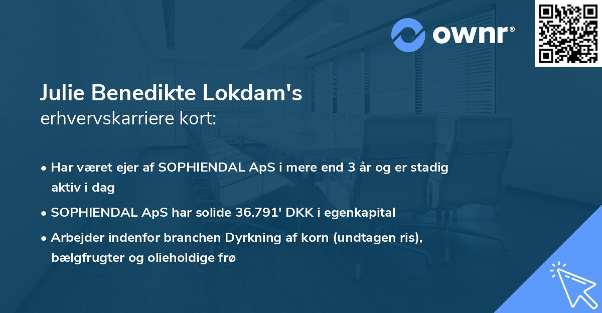 Julie Benedikte Lokdam's erhvervskarriere kort