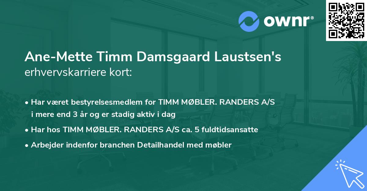 Ane-Mette Timm Damsgaard Laustsen's erhvervskarriere kort