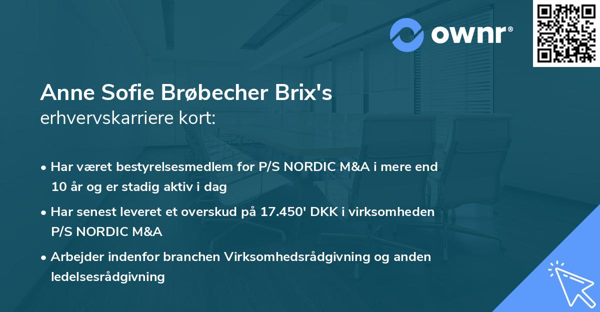 Anne Sofie Brøbecher Brix's erhvervskarriere kort