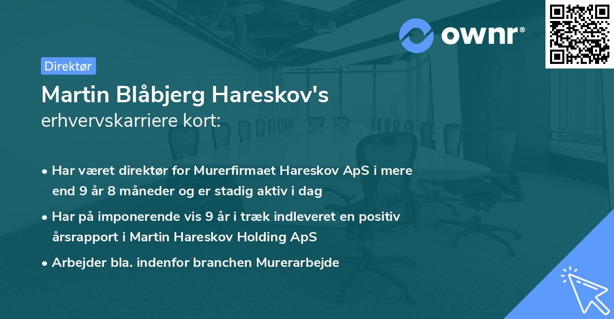 Martin Blåbjerg Hareskov's erhvervskarriere kort