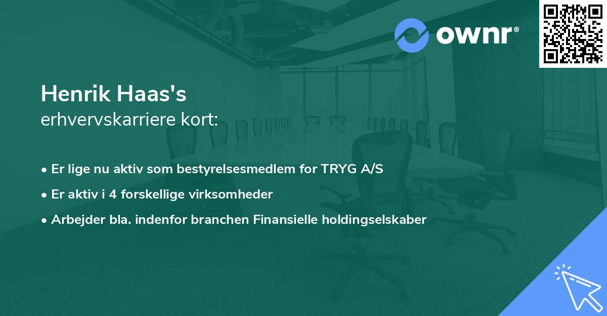 Henrik Haas's erhvervskarriere kort