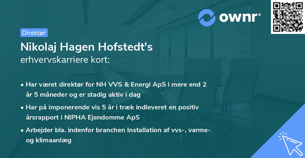 Nikolaj Hagen Hofstedt's erhvervskarriere kort