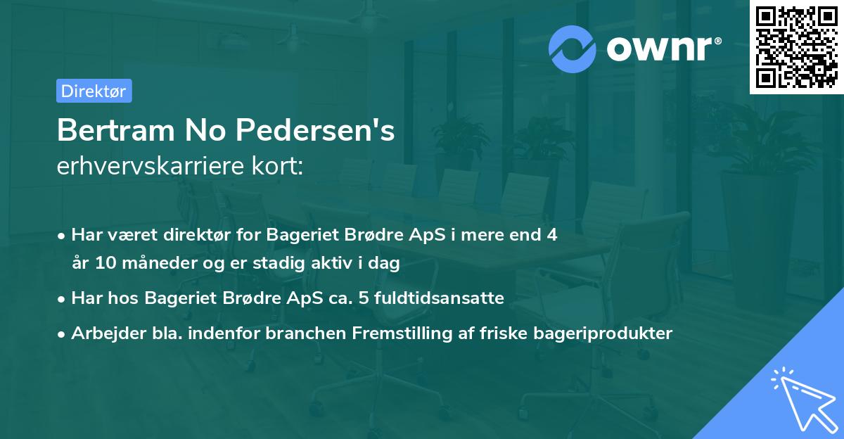 Bertram No Pedersen's erhvervskarriere kort