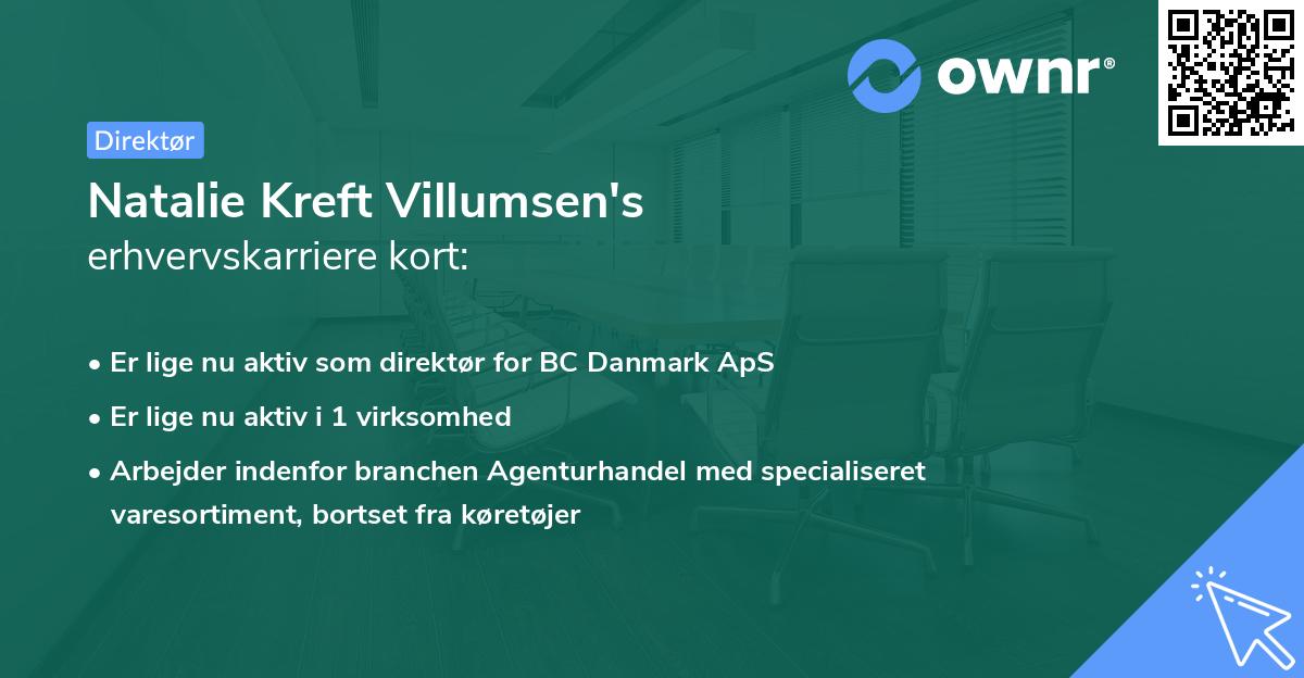 Natalie Kreft Villumsen's erhvervskarriere kort