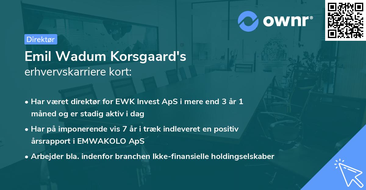 Emil Wadum Korsgaard's erhvervskarriere kort