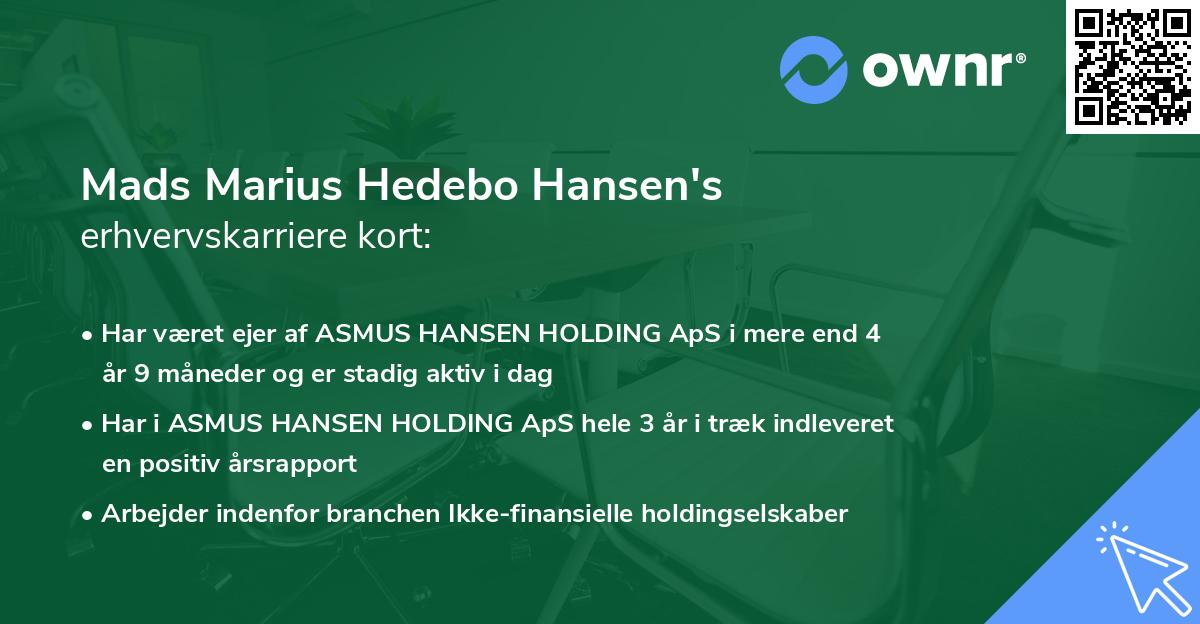 Mads Marius Hedebo Hansen's erhvervskarriere kort