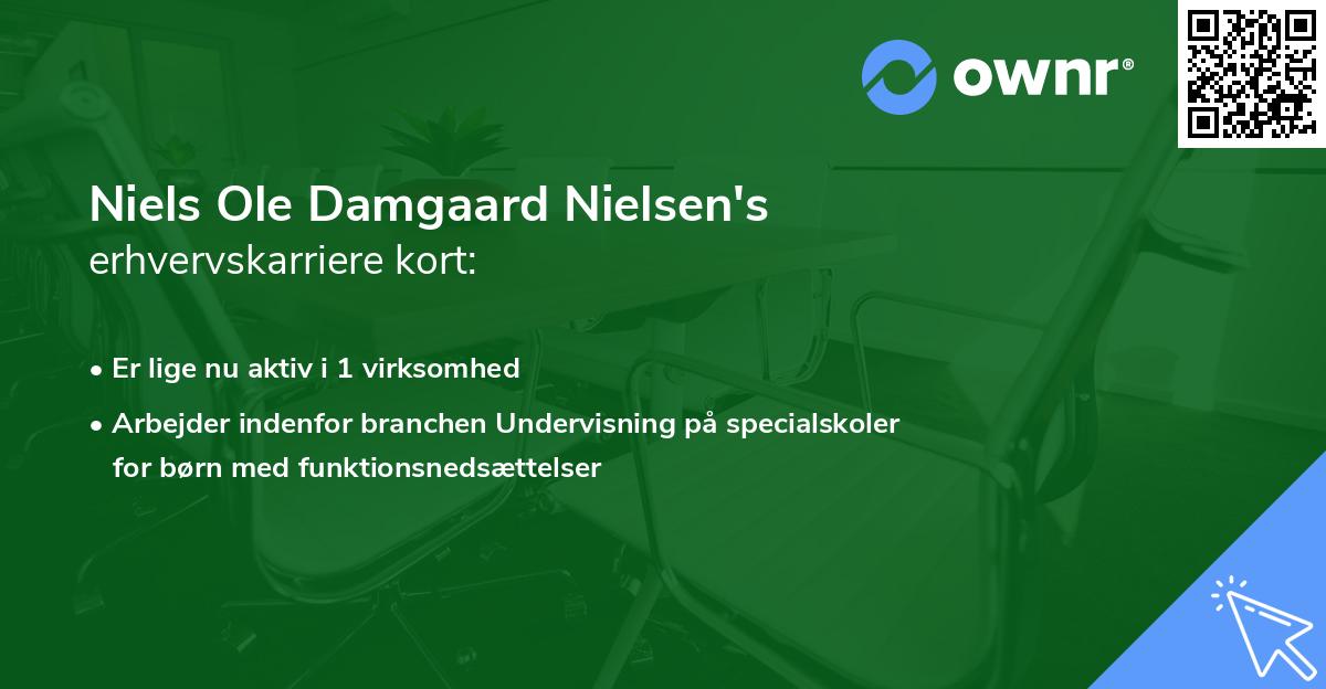 Niels Ole Damgaard Nielsen's erhvervskarriere kort