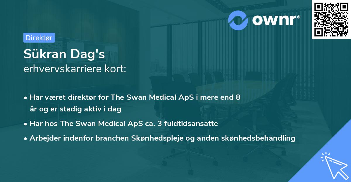 Sükran Dag's erhvervskarriere kort