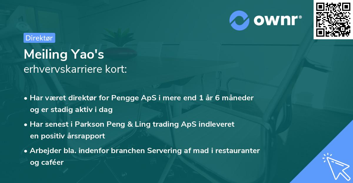 Meiling Yao's erhvervskarriere kort