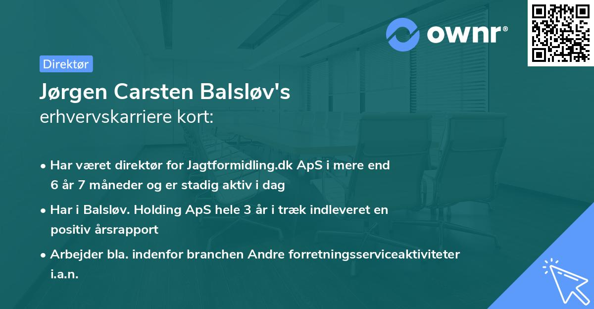 Jørgen Carsten Balsløv's erhvervskarriere kort