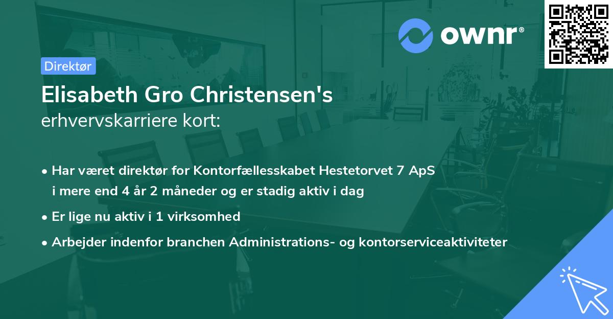 Elisabeth Gro Christensen's erhvervskarriere kort