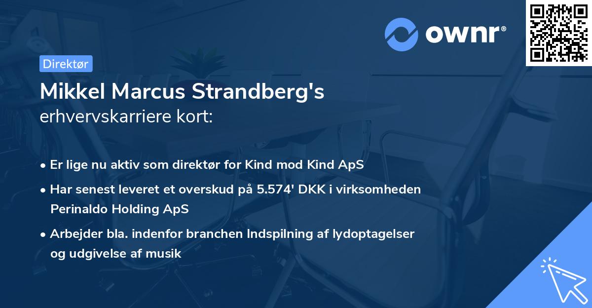 Mikkel Marcus Strandberg's erhvervskarriere kort