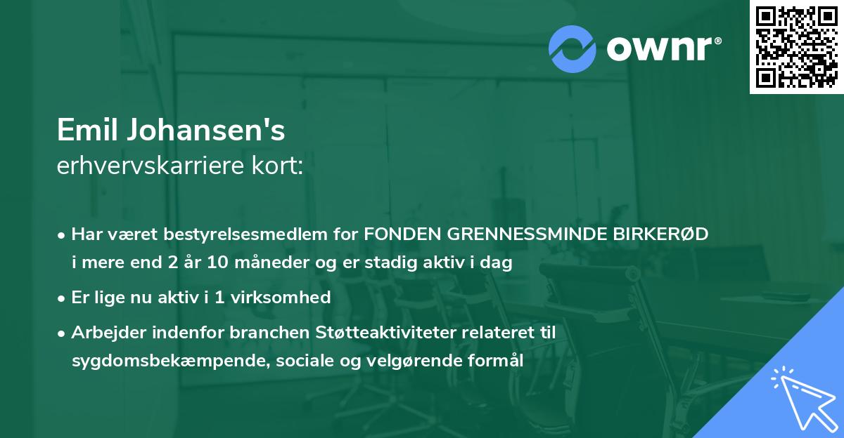 Emil Johansen's erhvervskarriere kort