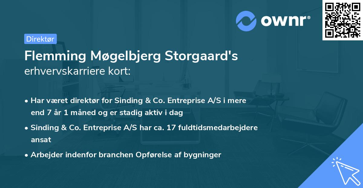 Flemming Møgelbjerg Storgaard's erhvervskarriere kort