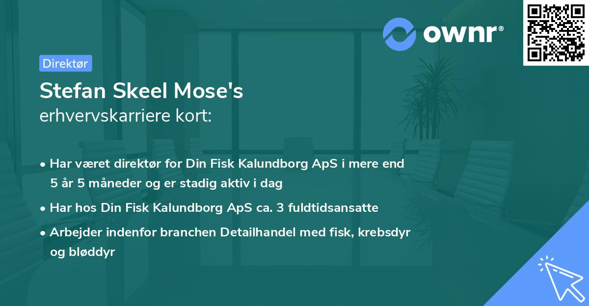 Stefan Skeel Mose's erhvervskarriere kort