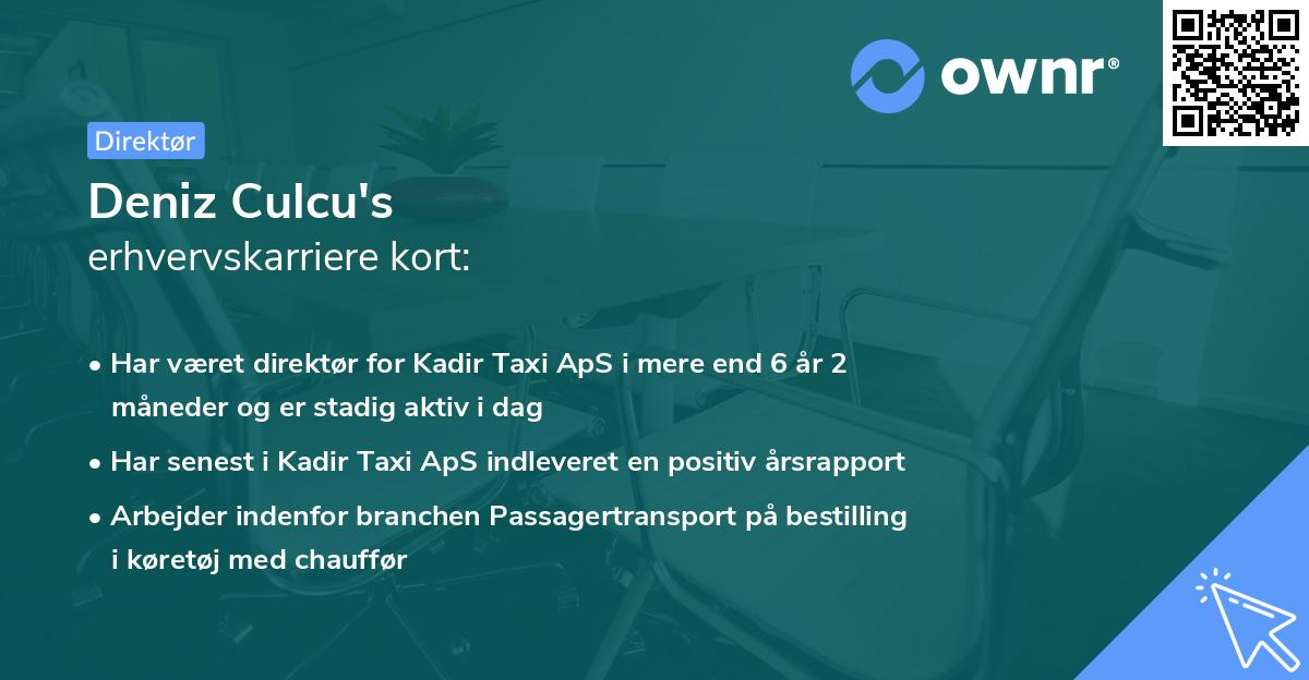 Deniz Culcu's erhvervskarriere kort