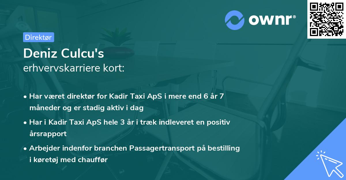 Deniz Culcu's erhvervskarriere kort