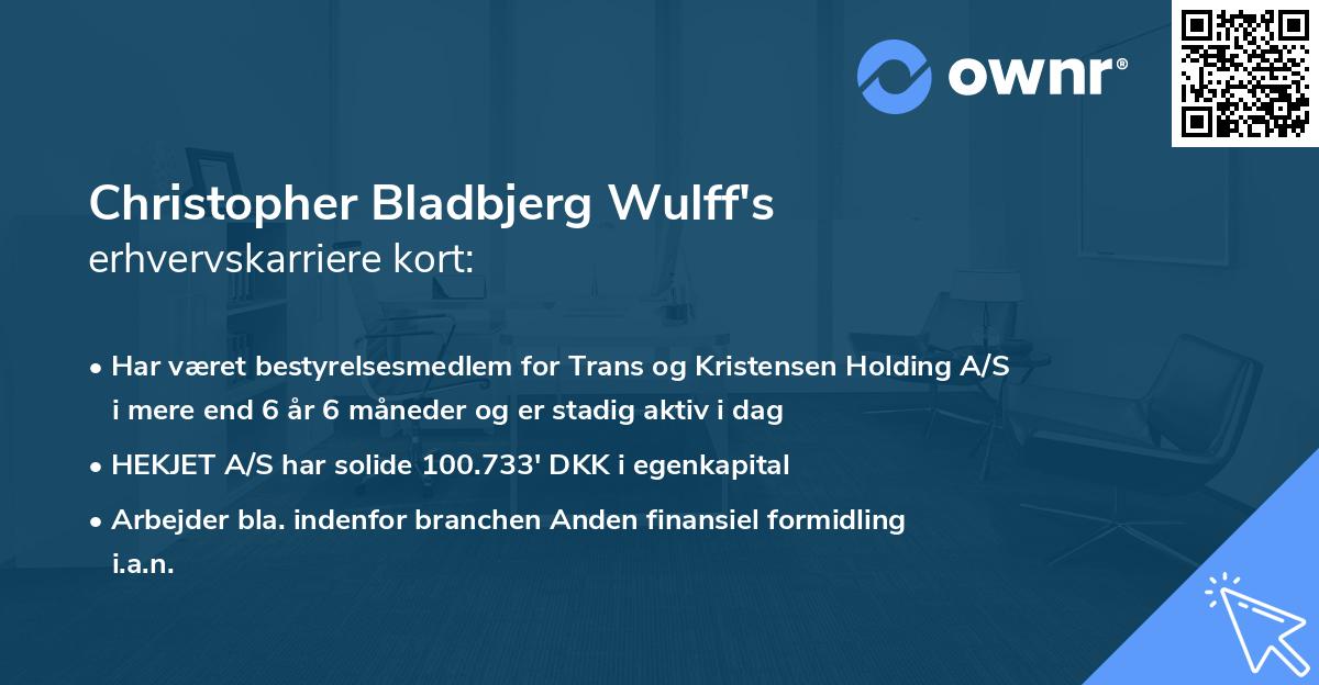 Christopher Bladbjerg Wulff's erhvervskarriere kort