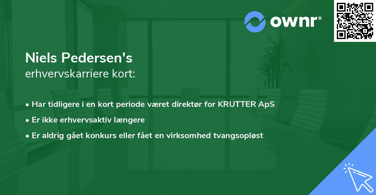 Niels Pedersen's erhvervskarriere kort