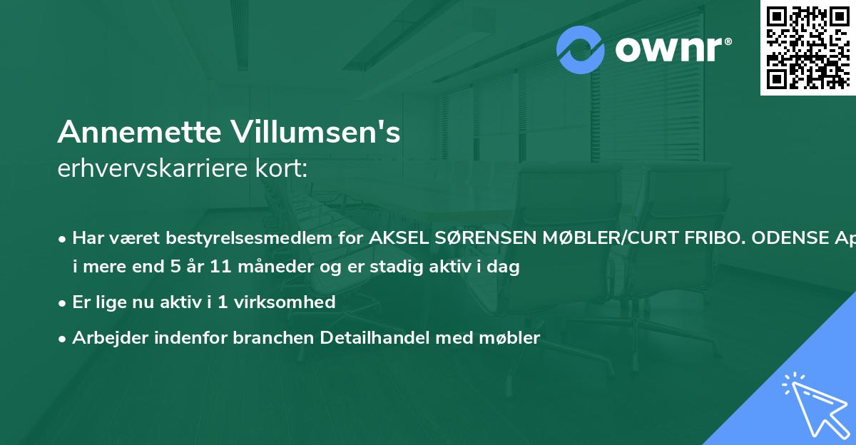 Annemette Villumsen's erhvervskarriere kort