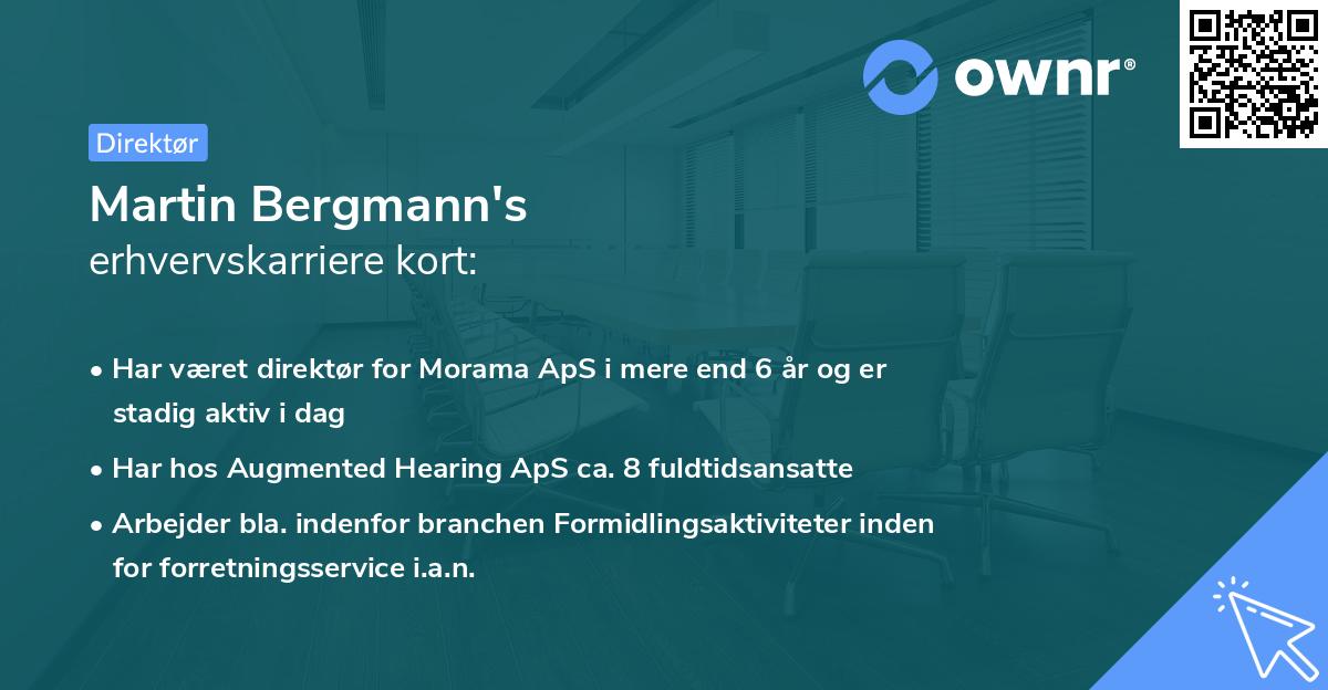 Martin Bergmann's erhvervskarriere kort