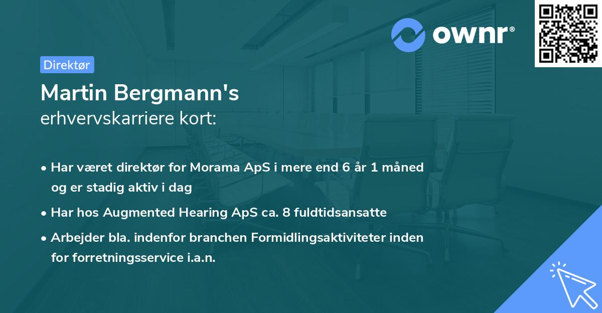 Martin Bergmann's erhvervskarriere kort