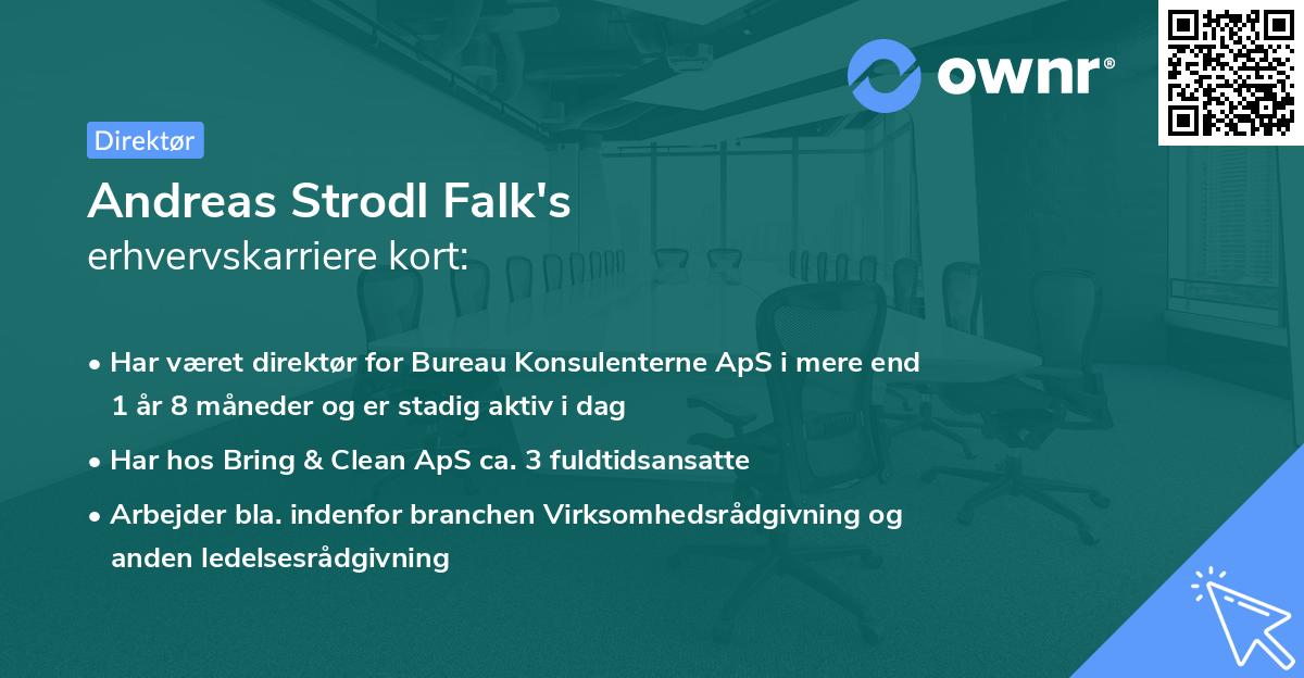 Andreas Strodl Falk's erhvervskarriere kort