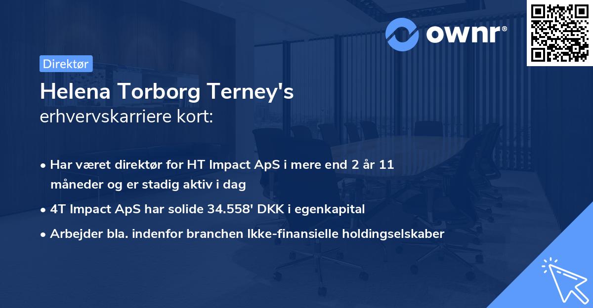 Helena Torborg Terney's erhvervskarriere kort