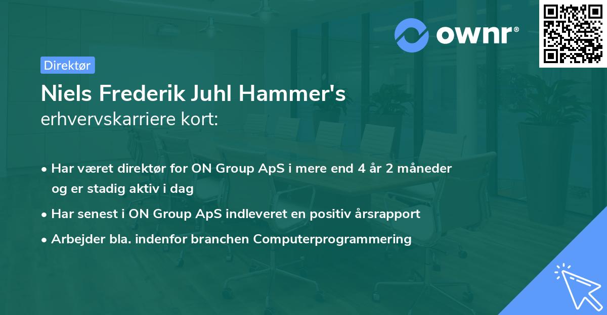 Niels Frederik Juhl Hammer's erhvervskarriere kort
