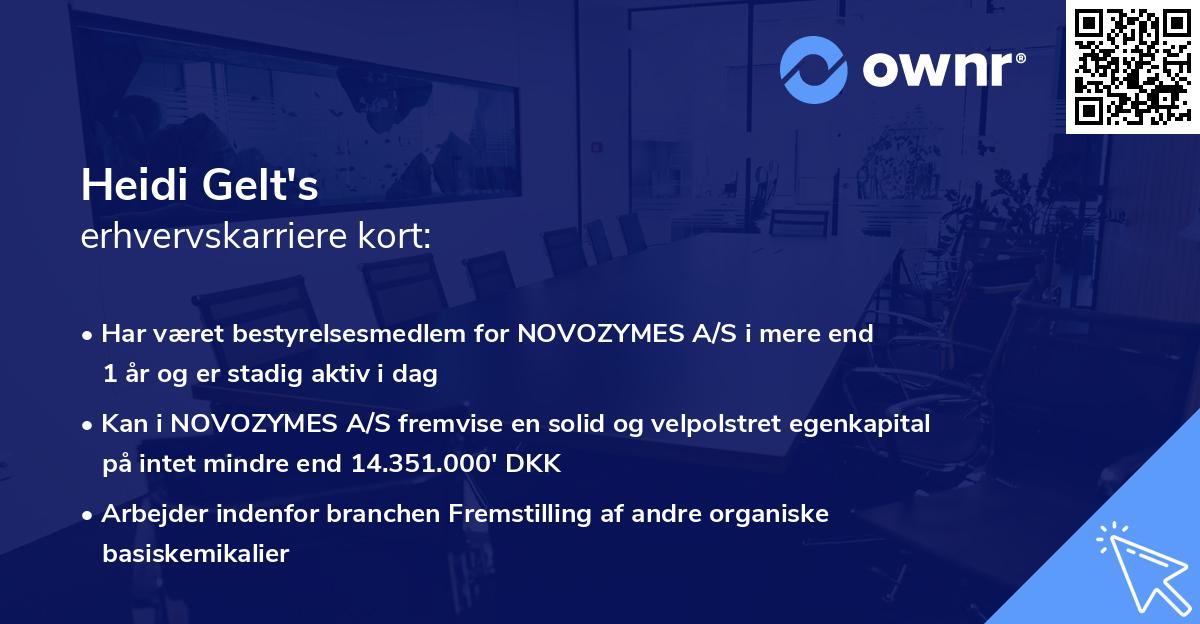 Heidi Gelt's erhvervskarriere kort