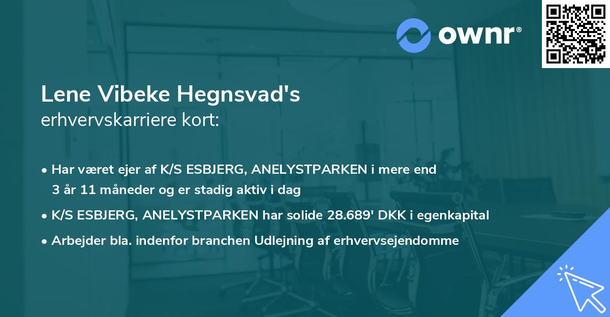 Lene Vibeke Hegnsvad's erhvervskarriere kort